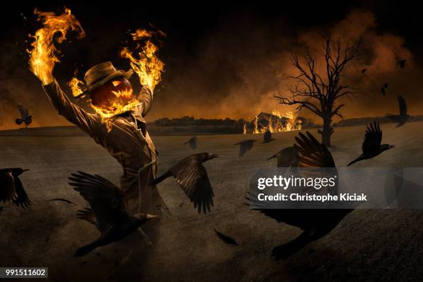jack-o'-scarecrow - jack burns 個照片及圖片檔