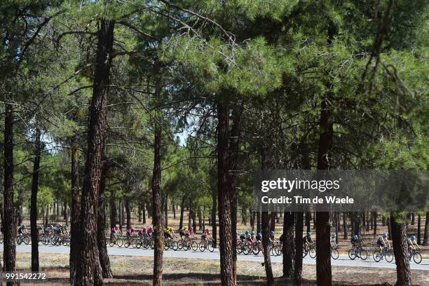 70Th Tour Of Spain 2015, Stage 19Illustration Illustratie, Peleton Peloton, Landscape Paysage Landschap, Forest Bois Bos /Medina Del Campo - Avila /...