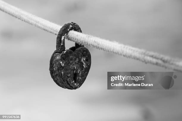 lock - marlene forte photos et images de collection