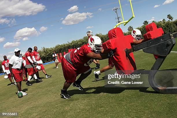 Arizona Cardinals defensive lineman Dan Williams works though drills during the last day of mini camp at the team's training facility in Tempe,...