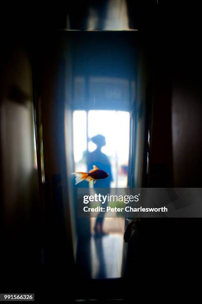 waiting - peter charlesworth stock pictures, royalty-free photos & images