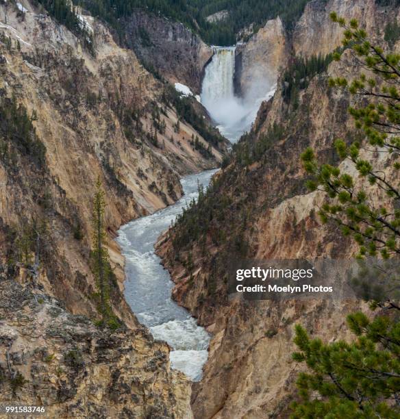 vertical panoramic - grand canyon of the yellowstone river - cataratas lower falls fotografías e imágenes de stock