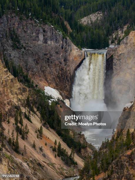 waterfall at grand canyon of the yellowstone river - tourists watching - cataratas lower falls fotografías e imágenes de stock