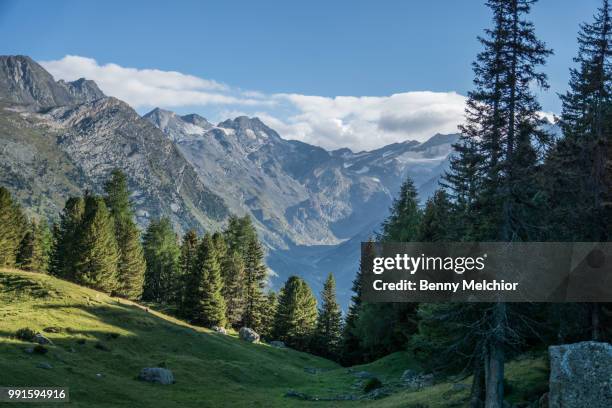 berglandschaft - berglandschaft stock pictures, royalty-free photos & images