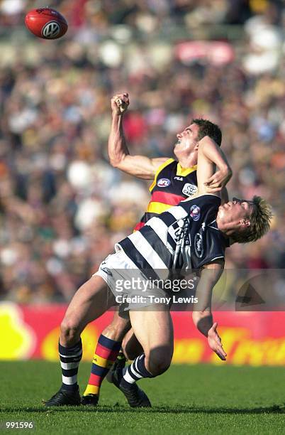 Andrew Crowell of Adelaide and Adam Houlihan of Geelong in action in the match between the Adelaide Crows and the Geelong Cats during round 10 of the...