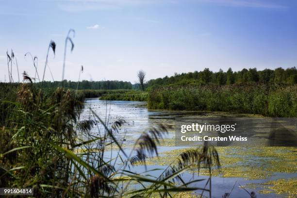 1,440 Weiss Lake Stock Photos, HighRes Pictures, and Images Getty Images