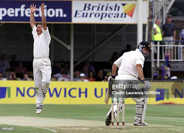 Darren Gough of England appeals for the wicket of Steve Waugh of Australia during the 3rd day of the npower Ashes first test match between England v...