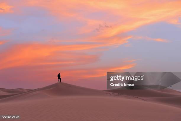 silhouette and dunes at sunset - desert sunset stock pictures, royalty-free photos & images