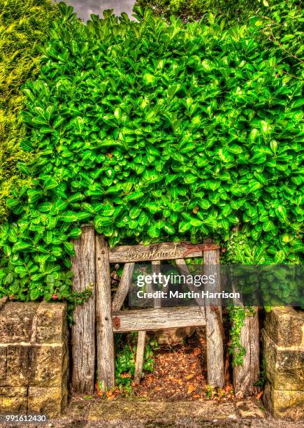 hidden garden gate - harrison wood stock pictures, royalty-free photos & images