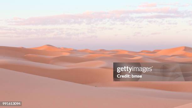 dunes at sunset - désert du sahara photos et images de collection