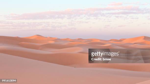 dunes at sunset - sahara desert stock pictures, royalty-free photos & images