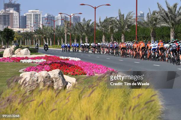 3Th Dubai Tour 2016, Stage 2 Illustration Illustratie, Peleton Peloton, Flowers Fleur Bloemen, Landscape Paysage Landschap, Dubai - Palm Jumeirah...