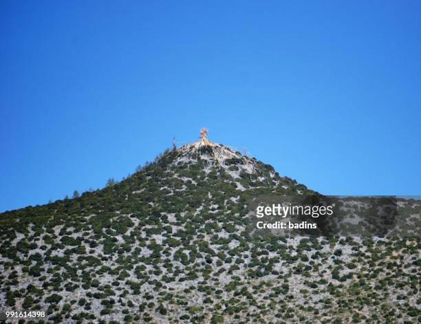 tibetan fort on top of the rocky hill - summit view cemetery stock pictures, royalty-free photos & images