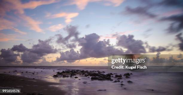 ameland - kugel bildbanksfoton och bilder