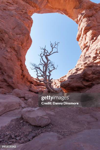 Cone Rocks Cone Rock Photos and Premium High Res Pictures - Getty Images