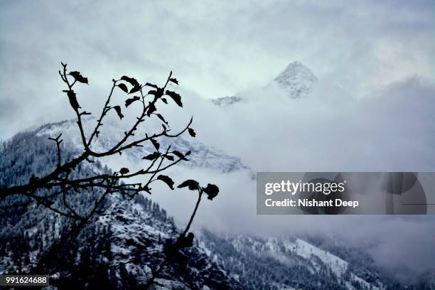 phulga-kheerganga - manali - solang - ganga stock pictures, royalty-free photos & images