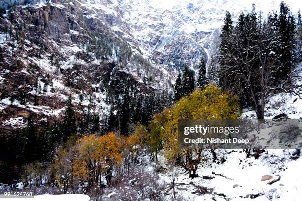 phulga-kheerganga - manali - solang - ganga stock-fotos und bilder