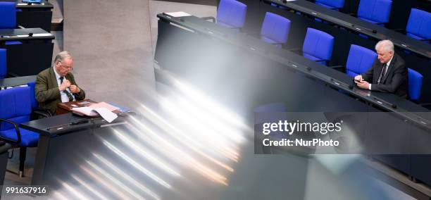 Parliamentary fraction co-leader of Alternative for Germany party Alexander Gauland and German Interior Minister Horst Seehofer are pictured prior to...