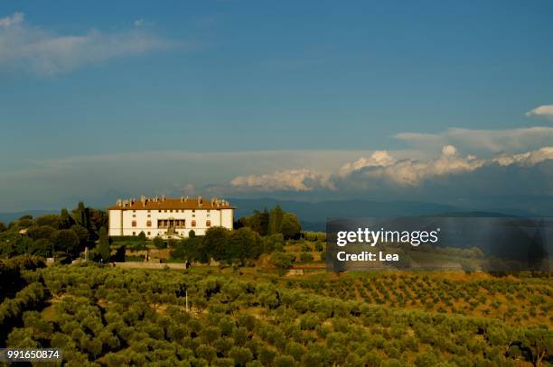 villa medici - medici stock pictures, royalty-free photos & images