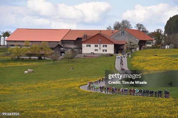 70Th Tour De Romandie 2016, Stage 2 Illustration Illustratie, Peleton Peloton, Landscape Paysage Landschap, Moudon - Morgins / Etape Rit Tdr /