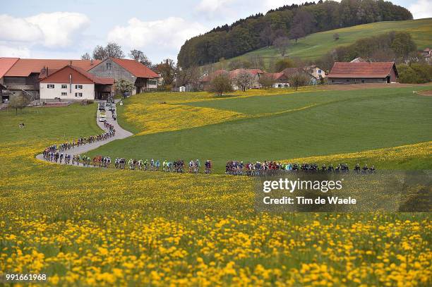 70Th Tour De Romandie 2016, Stage 2 Illustration Illustratie, Peleton Peloton, Landscape Paysage Landschap, Moudon - Morgins / Etape Rit Tdr /