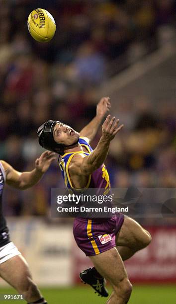 Shaun Hart of Brisbane in action against St Kilda during the round 14 AFL match between the Brisbane Lions and St Kilda Saints at the Gabba in...