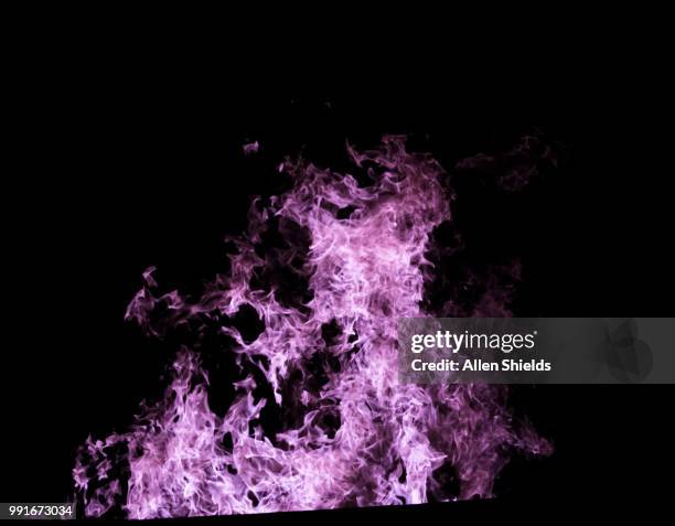 Allen Shields Math 386 Allen Shields Stock Photos, High-Res Pictures, and Images - Getty ...