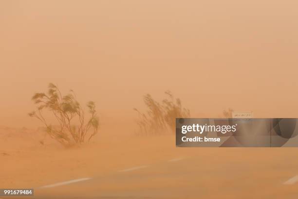 sandstorm - sand storm stock pictures, royalty-free photos & images