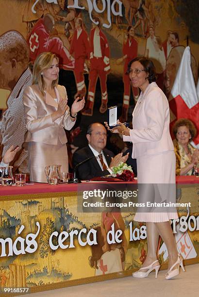 Princess Cristina of Spain attends the Red Cross Medal ceremony on May 12, 2010 in Toledo, Spain.