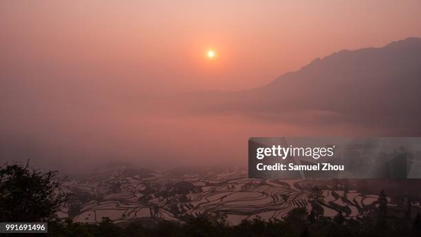 sunrise at yuanyang bench terrace, yunnan, china - yuanyang stock pictures, royalty-free photos & images