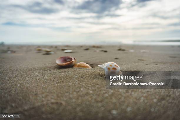 ashore - ashore stock pictures, royalty-free photos & images