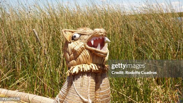 titicaca lake totora tiger - a cuadros stockfoto's en -beelden