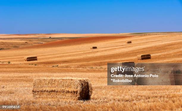 paisaje 30 - paisaje stockfoto's en -beelden