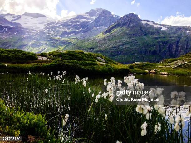 vanoise national park - vanoise national park stock pictures, royalty-free photos & images