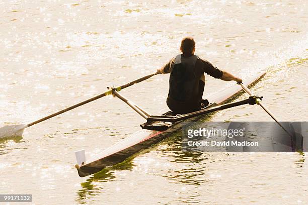 man rowing a single scull. - single scull bildbanksfoton och bilder