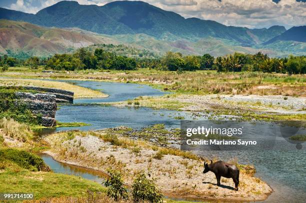 Scenery Rural Manilla Manilla Background Photos and Premium High Res Pictures - Getty Images