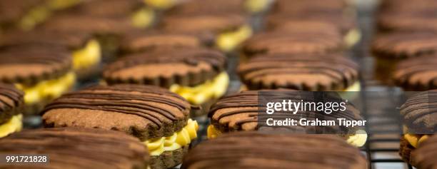 chocolate cookies ready for eating - chocolate drizzle stock pictures, royalty-free photos & images
