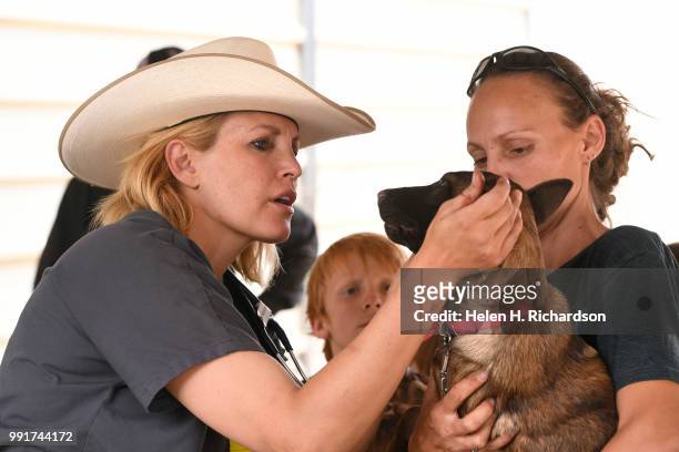 Veterinarian Dr. Romy Nicoletta, left, looks at a bite wound on a young puppy staying at the Huerfano County Fairgrounds during the Spring Creek Fire...