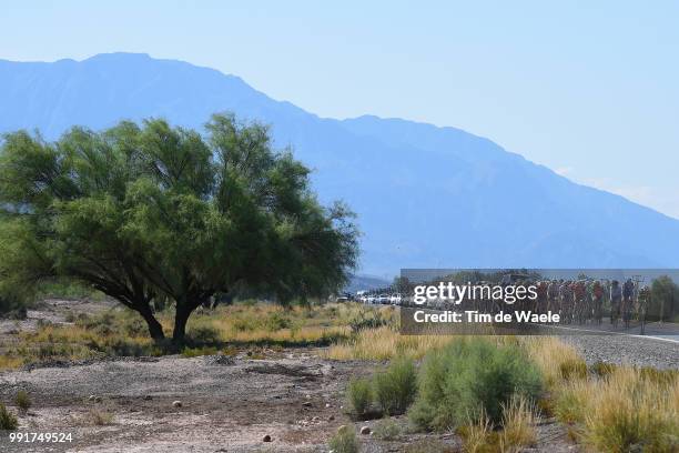 35Th Tour Of San Juan 2017, Stage 1Landscape, Peloton, Tree/ San Juan - San Juan /Vuelta A San Juan, Â©Tim De Waele