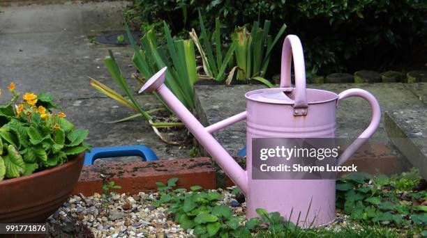 pink can - watering can stock pictures, royalty-free photos & images