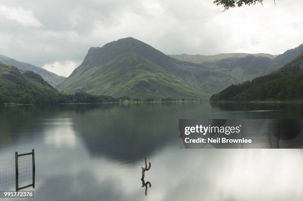 35 Brownlee Woods Stock Photos, HighRes Pictures, and Images Getty