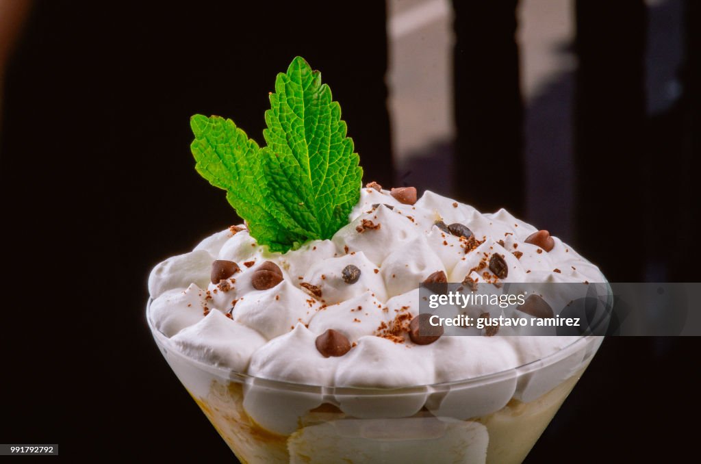 Mint chocolate chip ice cream