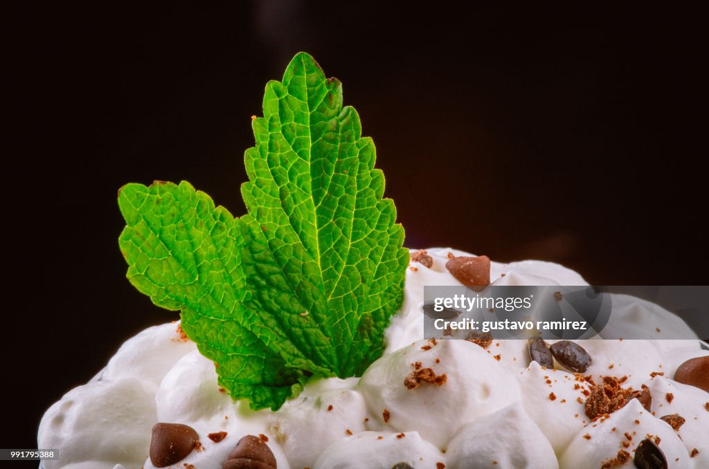 Mint chocolate chip ice cream