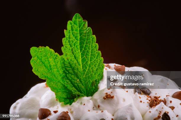 mint chocolate chip ice cream - chocolate chip ice cream stock pictures, royalty-free photos & images