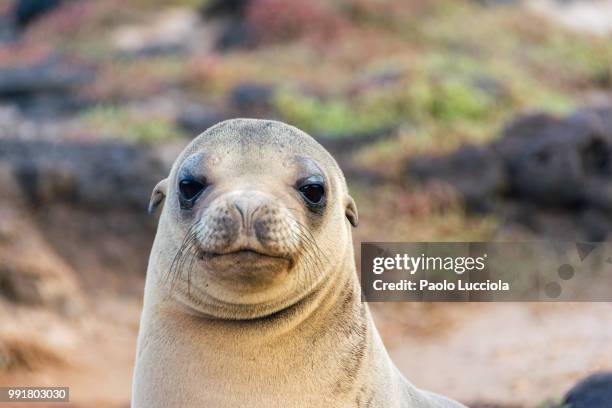 Hello High-Res Stock Photo
