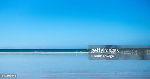 quiberon - quiberon imagens e fotografias de stock