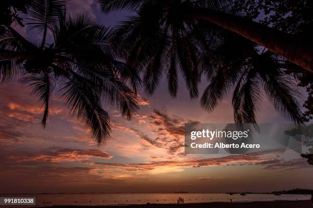 sunset in caribean - acero imagens e fotografias de stock