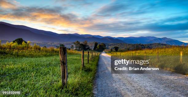 good morning cades cove - cades cove foto e immagini stock