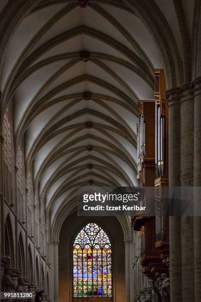 interior of st michael  and st gudula cathedral at brussels, belgium - cathedral of st michael and st gudula fotografías e imágenes de stock