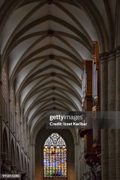 interior of st michael  and st gudula cathedral at brussels, belgium - cathedral of st michael and st gudula 個照片及圖片檔